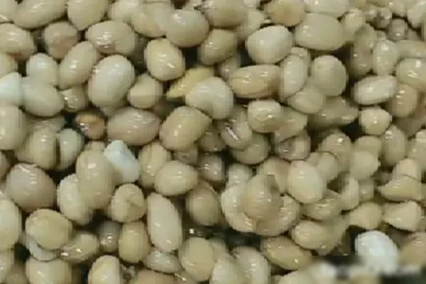 四季怪味花生米视频教程-爆汁配方社