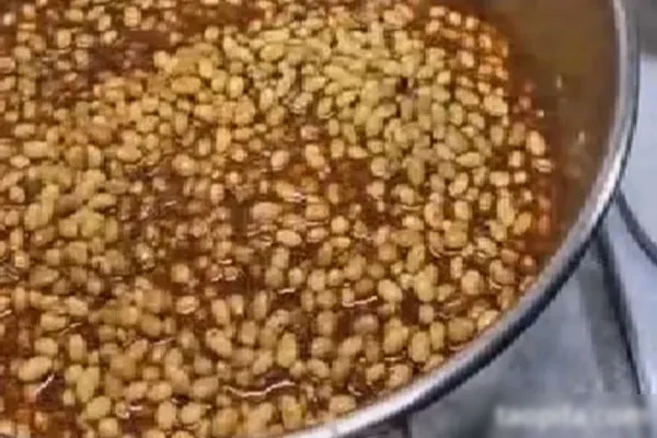 皖家特色酒豆技术配方和视频教程-爆汁配方社