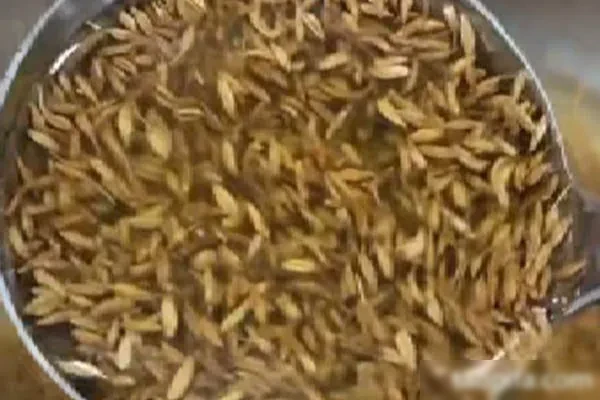 图片[1]-《孜然菠菜》和《万能素菜汁》视频教程-爆汁配方社