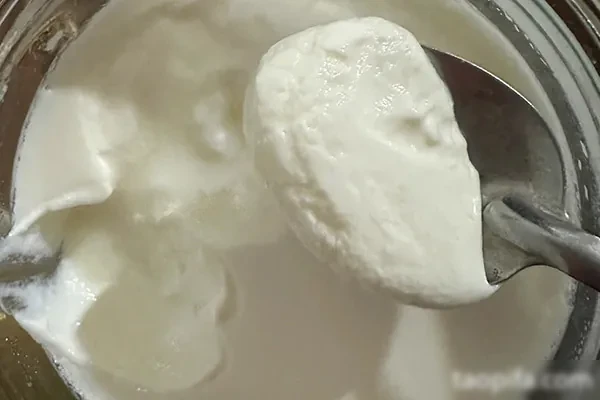 蜜思甜品五款手工酸奶一款麦片大合集一年四季都能火爆热销-爆汁配方社