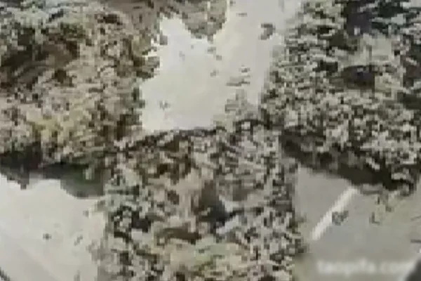 图片[1]-豆腐王朝三口味技术配方-爆汁配方社