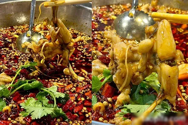 图片[1]-美蛙鱼头技术配方资料-爆汁配方社