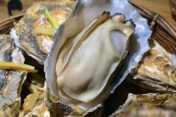 网红高压生蚝-爆汁配方社