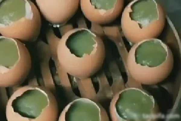 图片[1]-实蛋材料制作(商用版) 视频教程-爆汁配方社