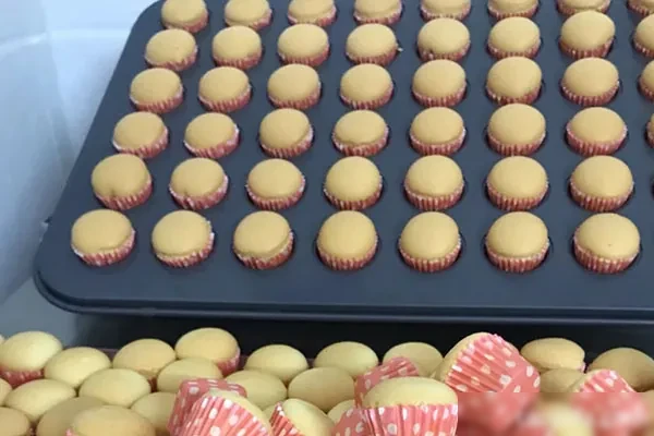 烘焙蛋糕仔书籍教学及视频教程-爆汁配方社