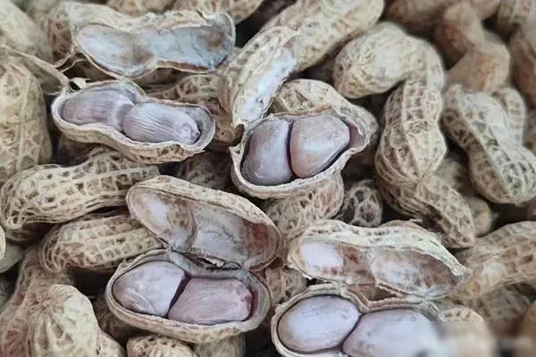 手工花生制作视频教程-爆汁配方社