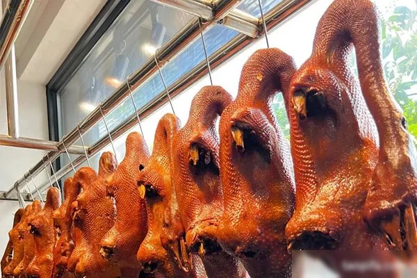 卤鹅实体店实战核心视频教程-爆汁配方社